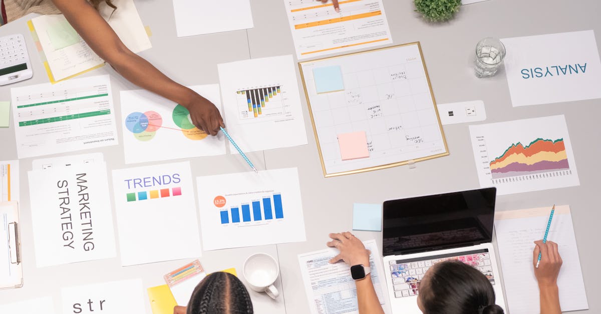 What is web designer and development?